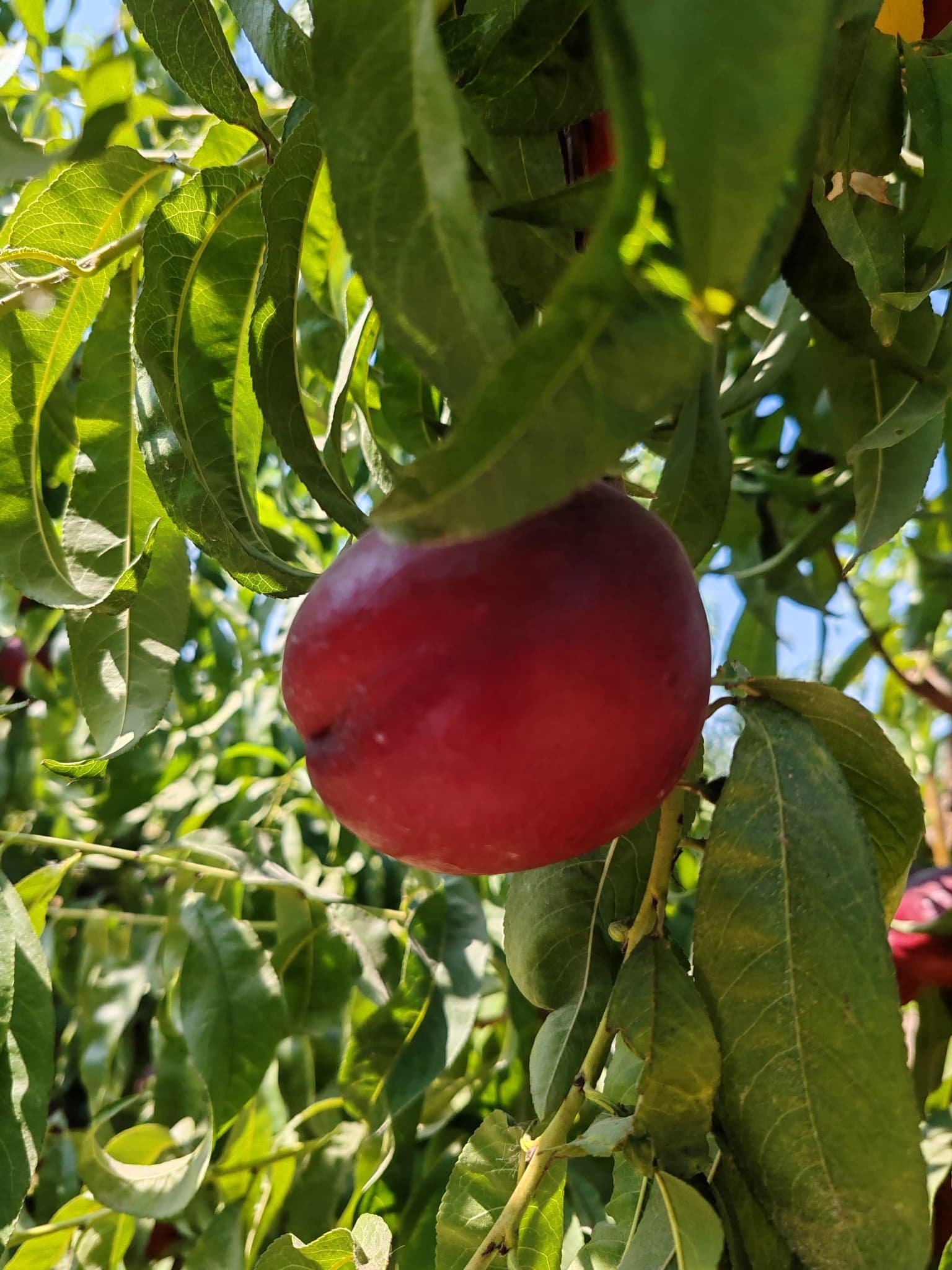 Современные технологии